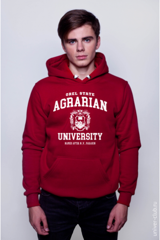 Толстовка ОрелГАУ (Орел) Толстовка ОрелГАУ (Орел)